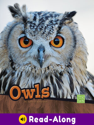 cover image of Owls